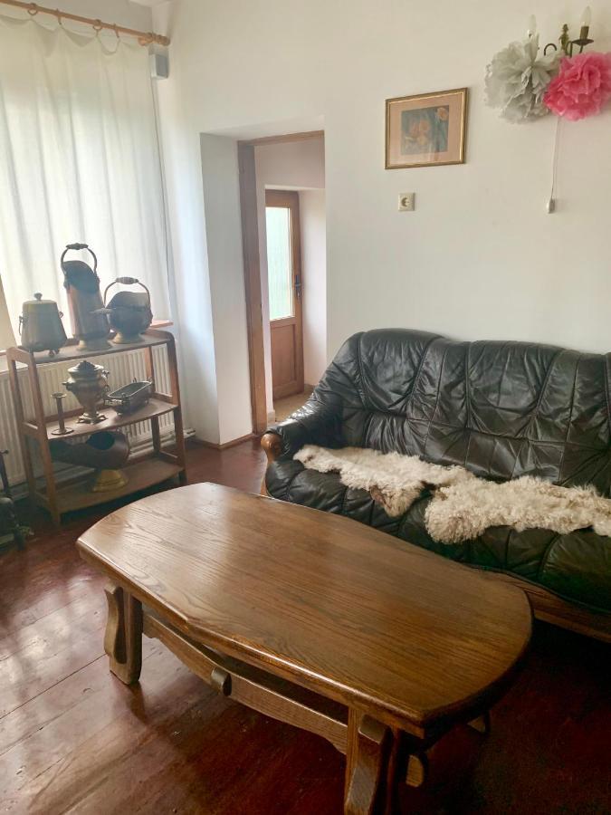 科尔贝尼 Vila Zia酒店 外观 照片