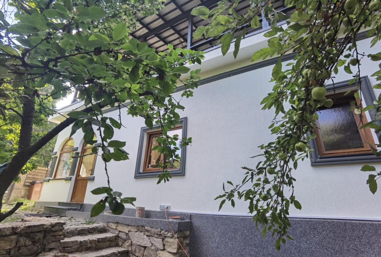 科尔贝尼 Vila Zia酒店 外观 照片